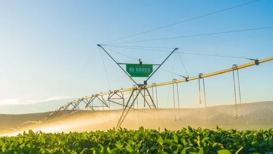 El nuevo escenario que impulsa al riego y promete mejorar la productividad de los cultivos