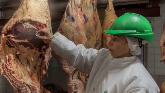 <Cae la producción de carne