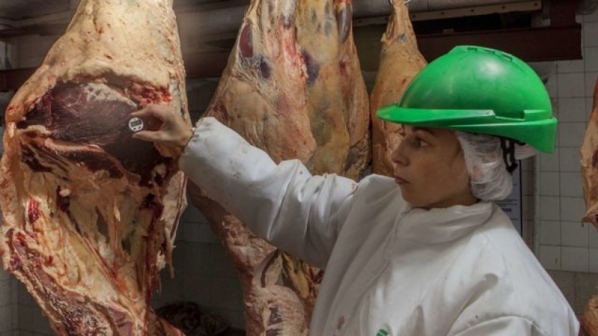 Cae la producción de carne