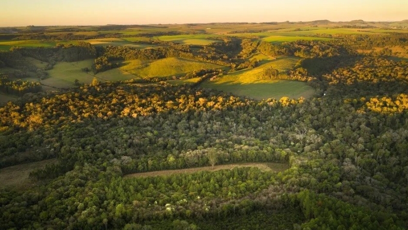 Una entidad del agro “salvó” 14.000 m2 de bosques para compensar una huella de carbono