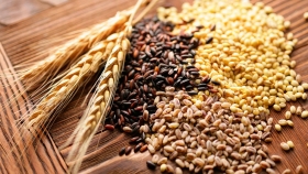 Salta: encuentro de productores de granos y semilleros
