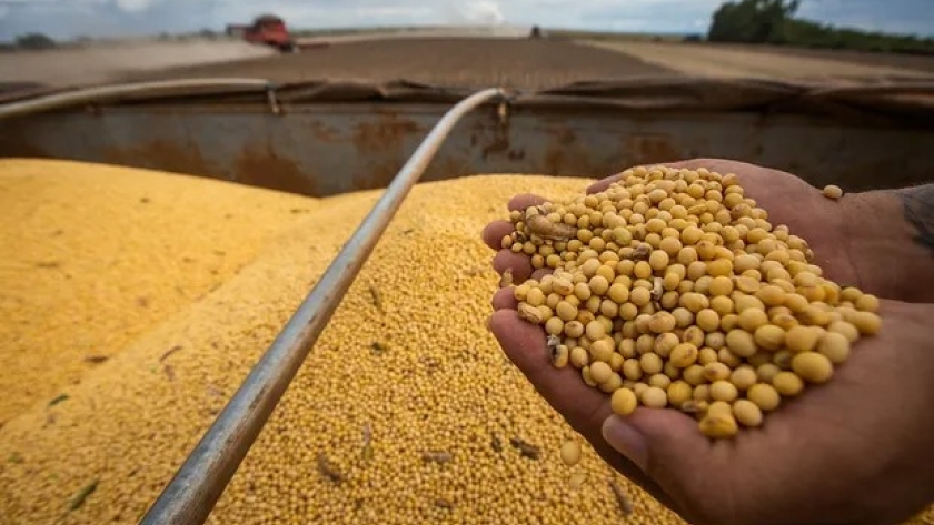 Alerta por un nuevo impuesto al campo que avanza en Córdoba