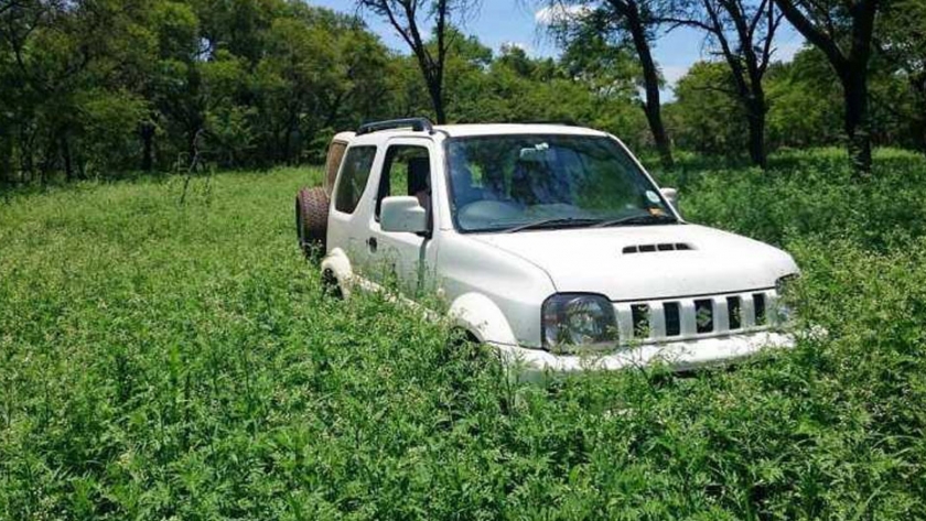 Hoja de ruta para ganar-ganar contra las malezas invasoras