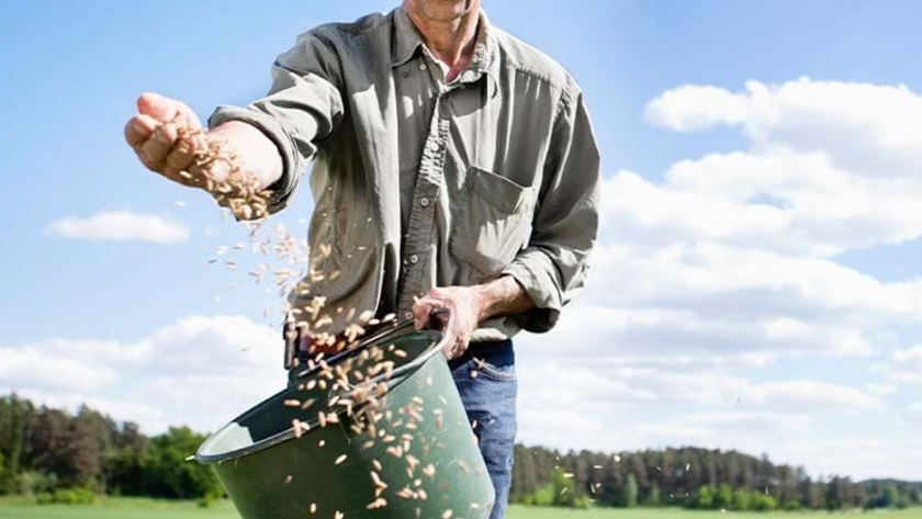 Una mirada a los datos de rentabilidad y costos de los productos básicos del Servicio de Investigación Económica del USDA
