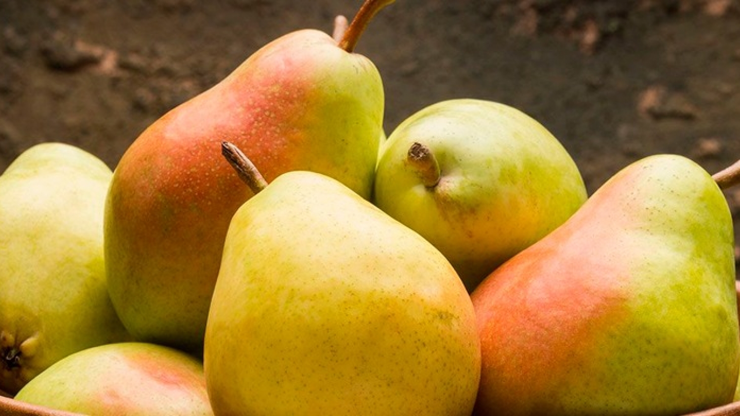 Productores de peras de California reclaman medidas ante el aumento de importaciones desde Argentina