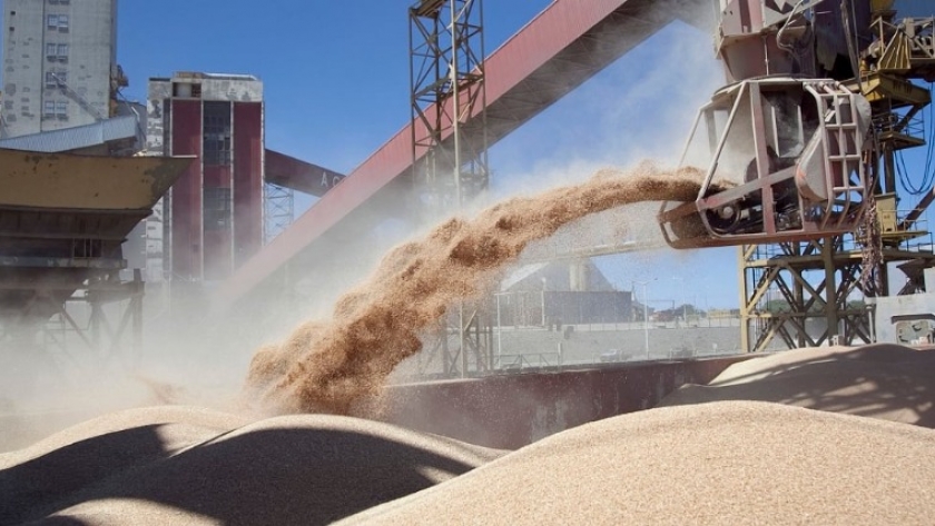 El Gobierno elimina retenciones para potenciar la agroindustria y fomentar la competitividad