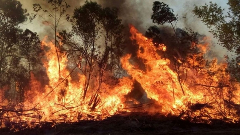 Las quemas y los incendios en la provincia de Corrientes