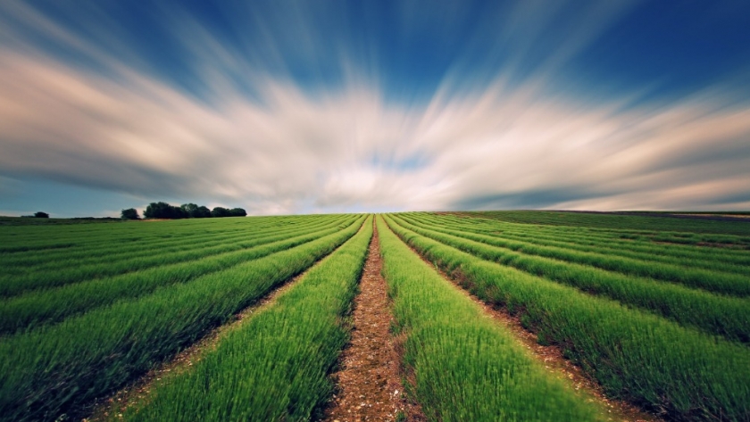 Sustainable Agtech Challenge