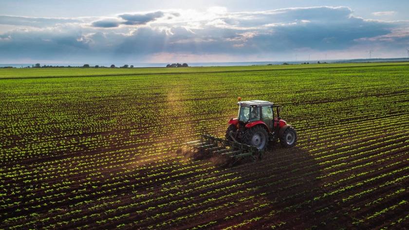 El potencial de transformar campos ganaderos a agrícolas en el Chaco