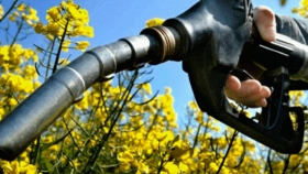 Biodiesel 