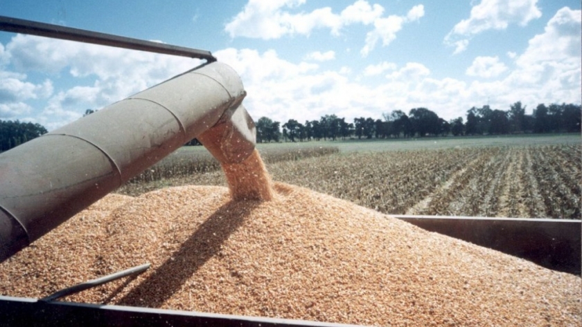 Las exportaciones del complejo oleaginoso  crecieron 52,8% durante el primer semestre
