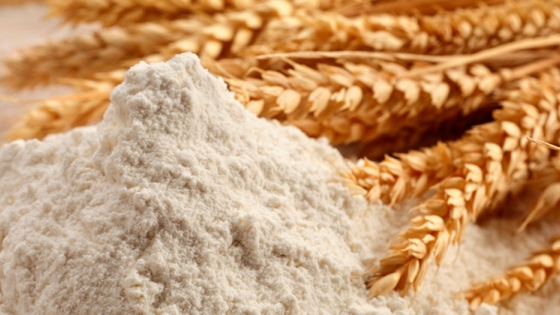 Santa Fe efectuó la primera molienda de trigo ecológico a gran escala