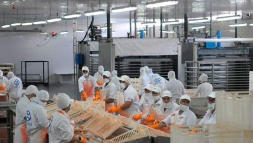 La actividad del sector pesquero y agropecuario apuntaló la mejora en la Economía