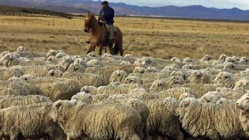 El gobierno de la provincia extiende el plazo de presentación de la encuesta pecuaria 2020