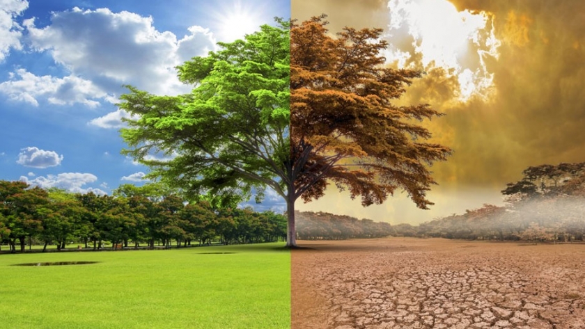 Invitan a participar de un ciclo de talleres sobre Cambio Climático