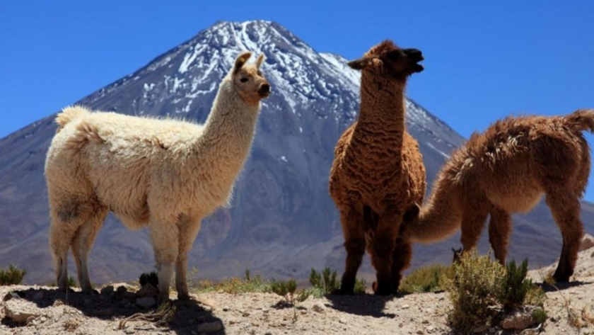 Jujuy presentó la experiencia del turismo rural comunitario
