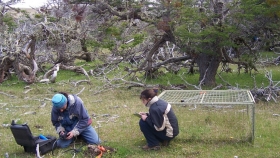 Estudian los microorganismos de los suelos patagónicos