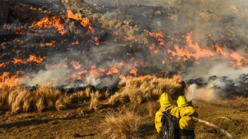 Incendios en Córdoba: sociedades rurales exigen cambios urgentes en la legislación