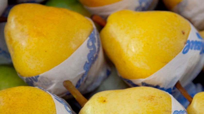 Siguen cayendo las exportaciones de frutas por el puerto de San Antonio