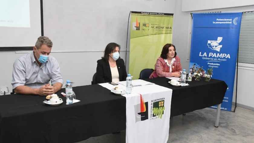 Evaluaron ambicioso proyecto para generar energía a partir de la biomasa