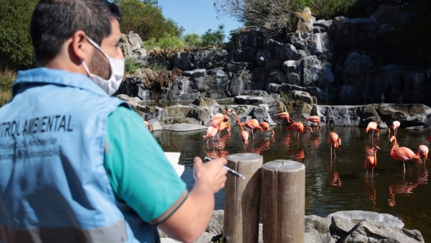 Ambiente controló el plantel faunístico de Temaikén