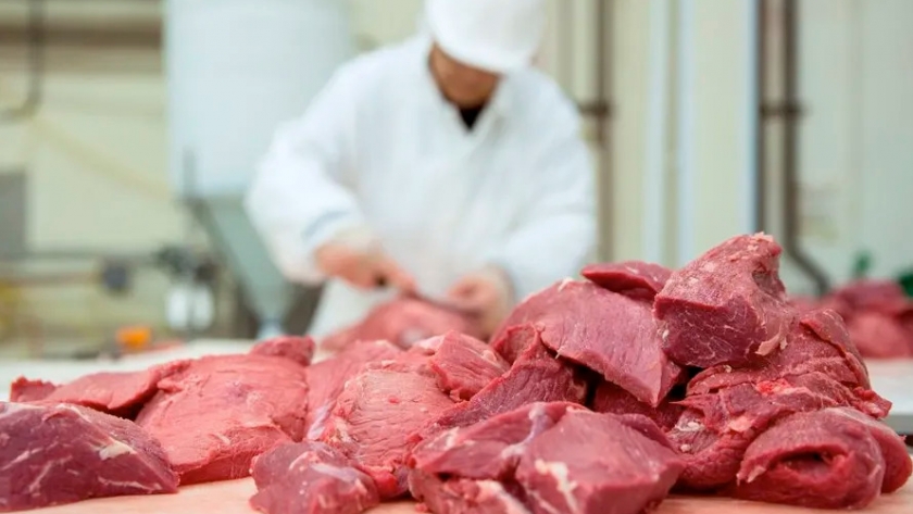 El futuro del mercado de carne vacuna en 2025: entre escasez y demanda sostenida