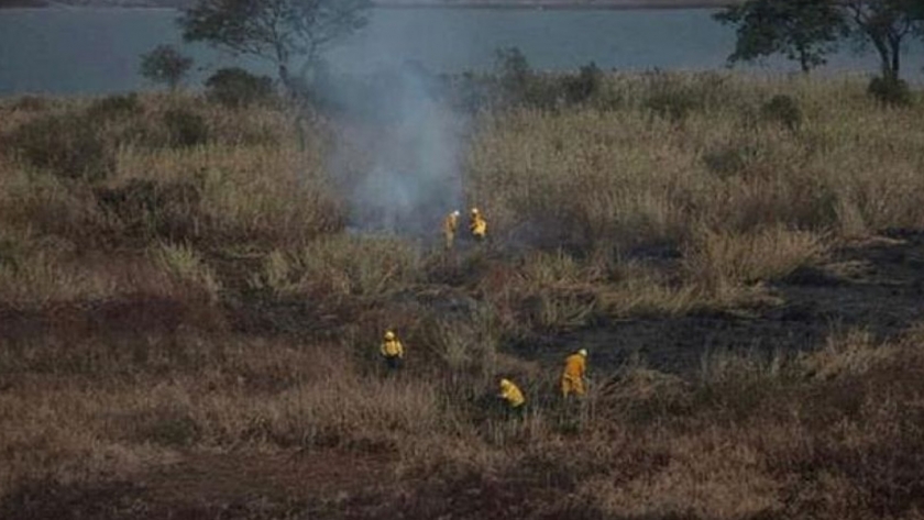El Ministerio de Ambiente de la Nación es querellante en la causa por incendios en las islas del Paraná
