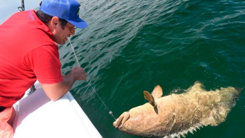 La pesca es un negocio desaprovechado de miles de millones de dólares