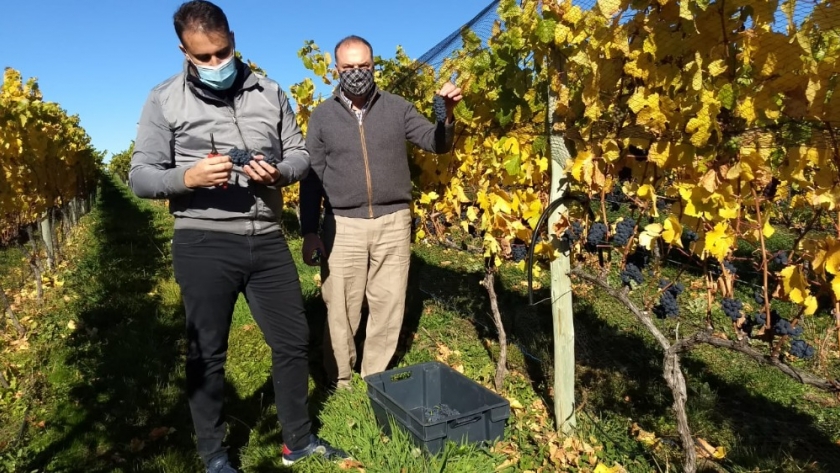 Trevelin: el gobierno provincial participó de la vendimia y anunció proyecto para declarar al 17 de abril como día de la producción en Chubut