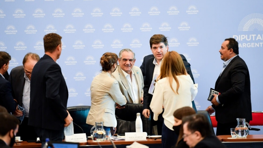 Iannizzotto en el Congreso: apoyó el acuerdo con el FMI pero reclamó que “le saquen el pie de encima a los productores”
