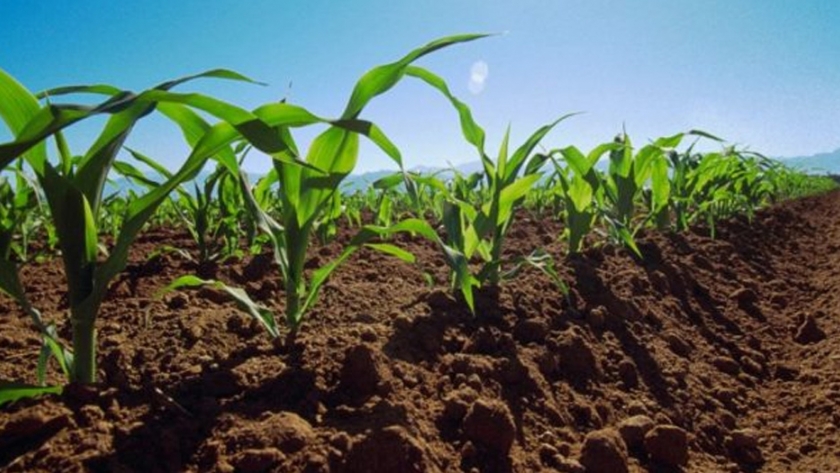 TECNOAgua, lanza innovador producto que reduce uso de fertilizante