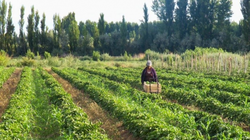 Río Negro: Se desarrollan las capacitaciones en buenas prácticas agrícolas