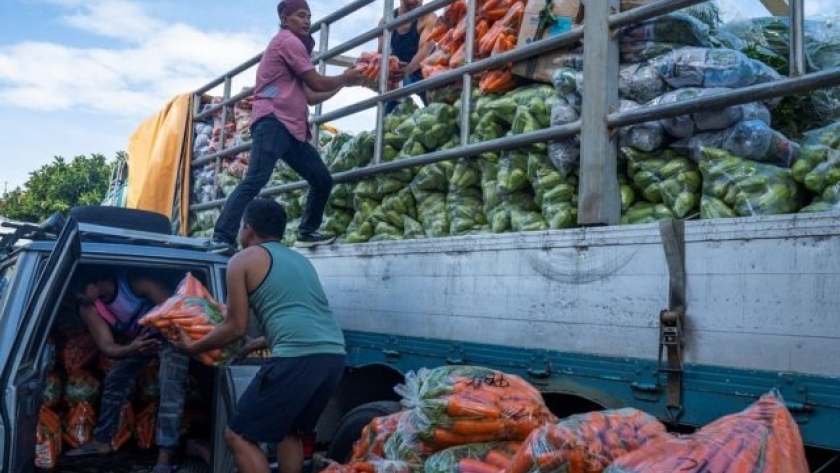 Las pérdidas a lo largo del camino