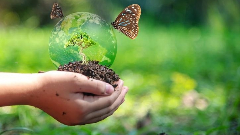 Unearthing the vital link between biodiversity and soil health