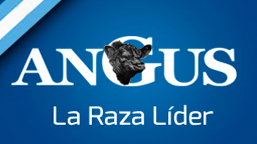 Elecciones en Angus: oposición reclama información sobre proceso electoral