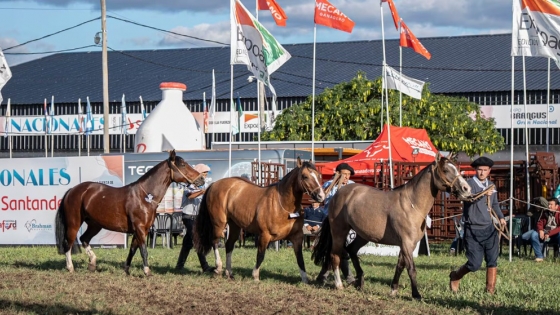 Corrientes fue epicentro nacional del caballo criollo con más de 70 ejemplares en competencia