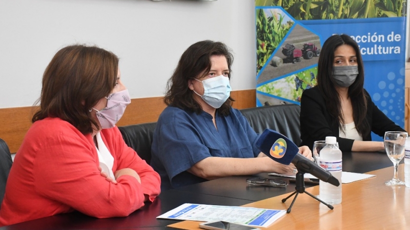 Producción anunció Programa de Implantación de Pasturas y Ciclo de Capacitación