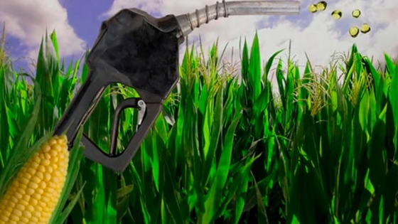 Con un crecimiento del 32%, la producción de bioetanol de maíz fue la más grande de la historia en 2022