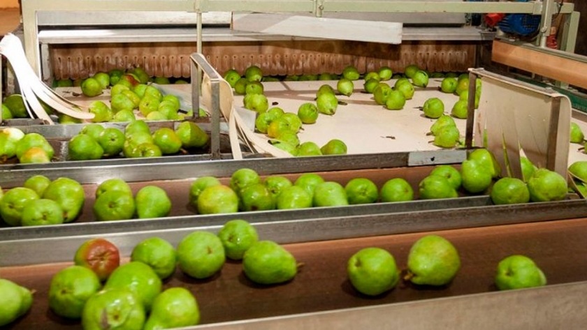 La manzana y la pera, cada vez más caras en góndolas