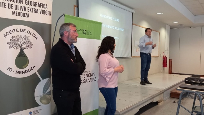 Más de 80 personas participaron en nueva capacitación gratuita orientada a productores olivícolas mendocinos