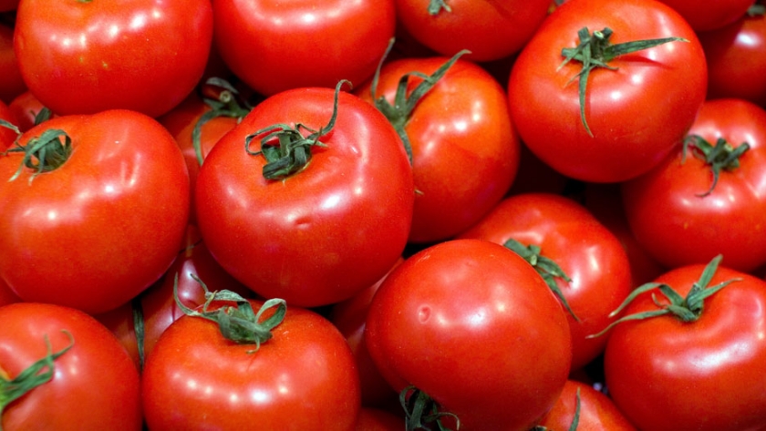 Ministerio de Agricultura libera por cupo la importación de tomates