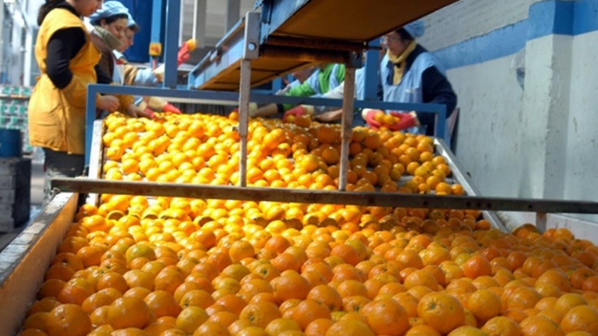 Las exportaciones de frutas frescas crecieron un 6 por ciento en relación al 2019