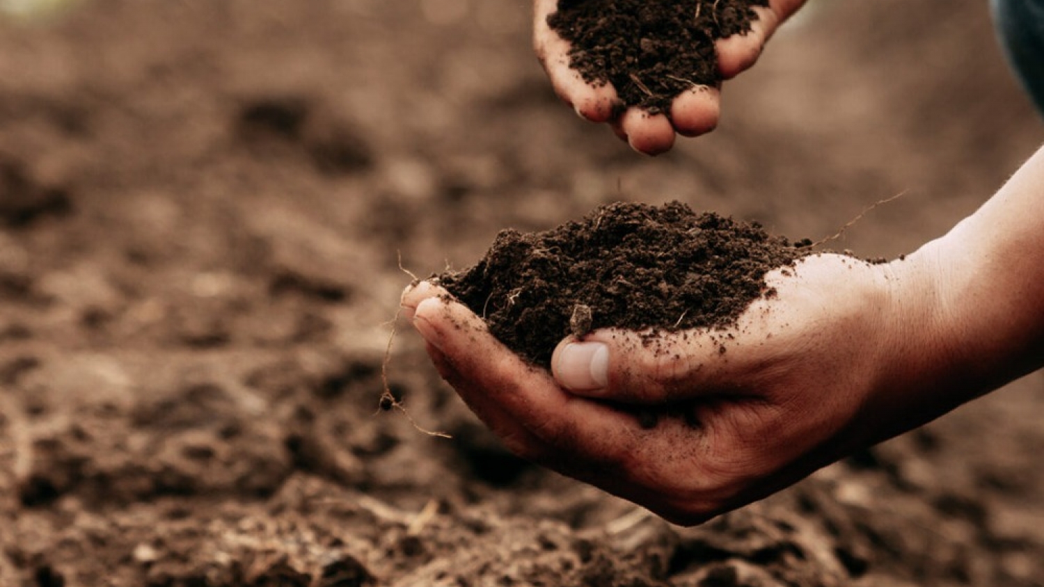 Un desarrollo argentino convierte residuos en fertilidad y abre una nueva oportunidad para el agro