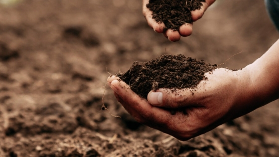 Un desarrollo argentino convierte residuos en fertilidad y abre una nueva oportunidad para el agro