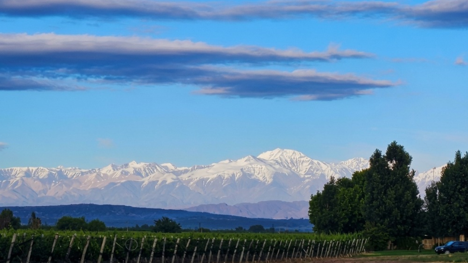 El agro incorpora biodiversidad: el INTA impulsa una red nacional para transformar áreas marginales en recursos productivos