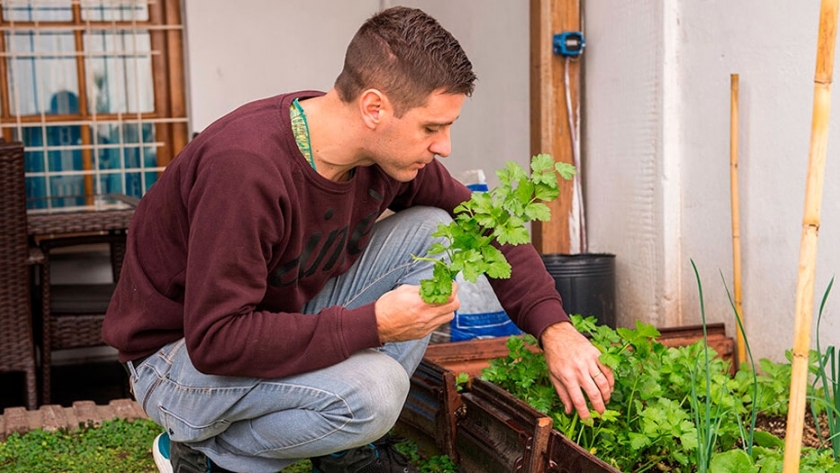 Huerta urbana: cultivar mucho en poco espacio. ¿Cómo hacerlo?
