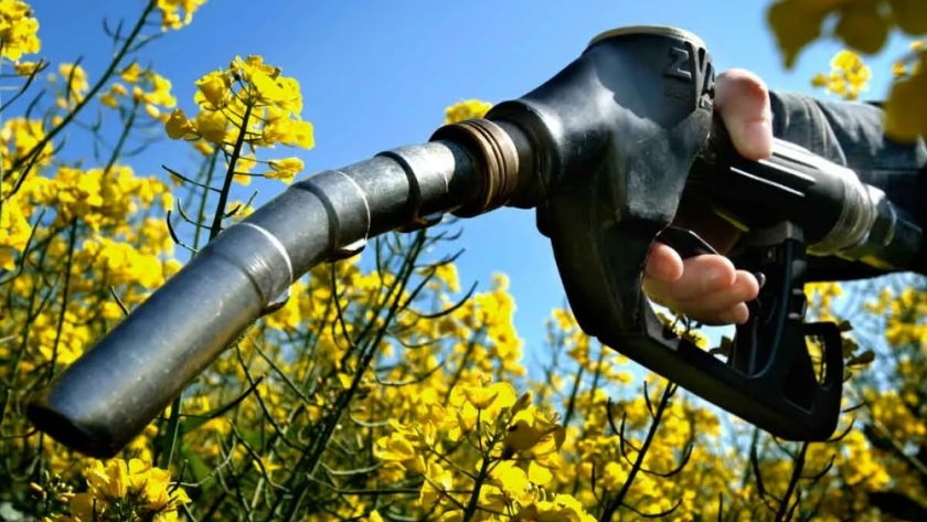 Europa reconoce la importancia de los biocombustibles derivados de cultivos para la descarbonilación del transporte , pero los quiere fuera del bloque