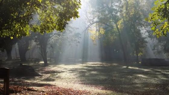 Un oasis natural en el Conurbano: Los Robles, la reserva de Moreno que se perfila como plan de escapada a una hora de CABA