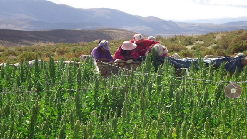 Empresa minera reafirma su compromiso social con la comunidad de Santa Rosa de los Pastos Grandes