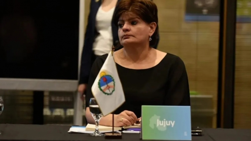 Aportes de Jujuy en el debate sobre la estrategia nacional para el Uso de los Mercados de Carbono